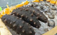 大欽島海參的獨(dú)特品質(zhì)與鑒別方法