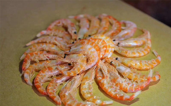 紅蝦、南極磷蝦蝦皮