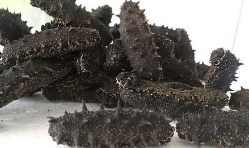 如何鑒別煙臺(tái)長(zhǎng)島海參