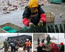 煙臺(tái)長(zhǎng)島之大欽島